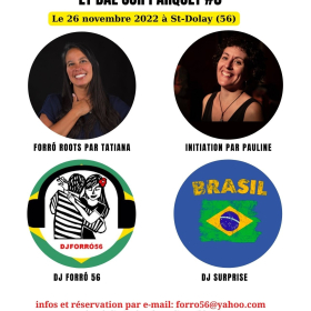 Stages_forro_roots_et_bal_sur_parquet_3