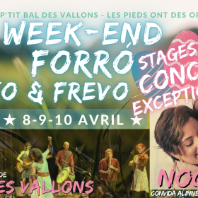 Week_end_de_Stages_et_Bals_Concerts