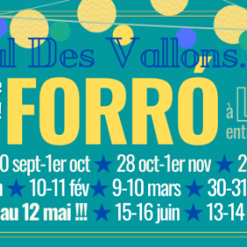 Week_end_Stages_et_Bal_Forro