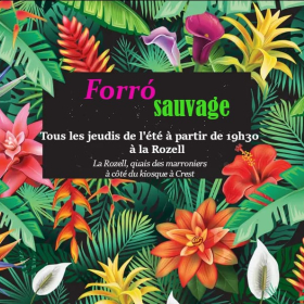 Forro_sauvage_DJ_aMy_B